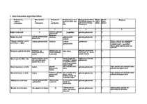 Diplomdarbs 'Анализ финансовой деятельности предприятия SIA "MedPro Inc"', 59.