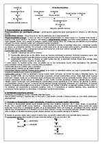 Konspekts 'Eiropas Savienības tiesības', 2.