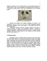 Referāts 'Optiskās šķiedras savienotāji', 6.