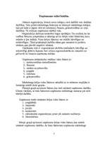 Referāts 'Uzņēmējdarbības vides analīze', 2.