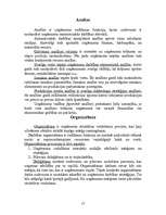 Referāts 'Uzņēmējdarbības vides analīze', 16.