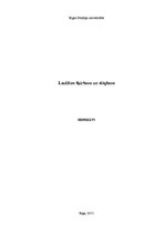 Referāts 'Laulības noslēgšana un šķiršana', 1.