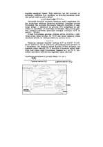 Konspekts 'Vielmaiņa', 5.