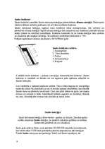 Konspekts 'Enerģijas iegūšanas veidi', 9.