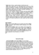 Konspekts 'Enerģijas iegūšanas veidi', 11.