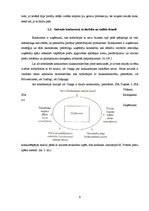 Prakses atskaite 'Mārketinga prakses atskaite', 7.