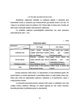 Prakses atskaite 'Mārketinga prakses atskaite', 8.