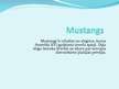 Prezentācija 'Mustangs', 1.