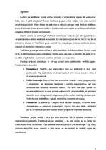 Referāts 'Testēšanas grupas pārvaldība', 4.