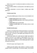 Referāts 'Testēšanas grupas pārvaldība', 5.