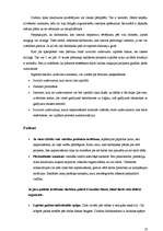 Referāts 'Testēšanas grupas pārvaldība', 10.