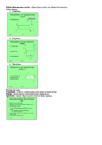 Paraugs 'Eksāmena atbildes Medicīniskās tehnikas projektēšana', 31.