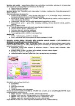 Paraugs 'Medicīniskās tehnikas projektēšana', 5.