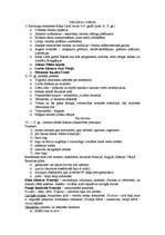 Konspekts 'Viduslaiku māksla, romānika, gotika', 1.