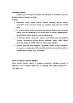 Referāts 'Izdegšanas sindroms', 10.