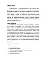 Referāts 'Izdegšanas sindroms', 11.