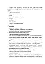 Referāts 'Izdegšanas sindroms', 24.