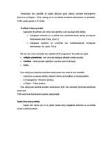 Referāts 'Izdegšanas sindroms', 29.