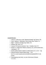 Referāts 'Izdegšanas sindroms', 33.