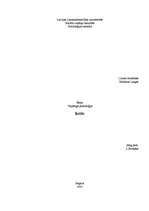 Referāts 'Iztēle', 1.