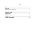 Referāts 'Iztēle', 2.