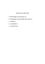 Referāts 'Iedzīvotāju apmierinātība ar sabiedrisko transportu Rīgā', 18.