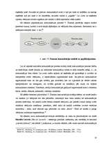 Diplomdarbs 'SIA "Balsts" zīmola maiņa', 19.