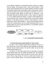Diplomdarbs 'SIA "Balsts" zīmola maiņa', 24.
