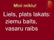 Prezentācija 'Latviešu mīklas', 9.