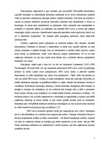 Konspekts 'IBM vadības struktūras specifika Latvijā', 2.