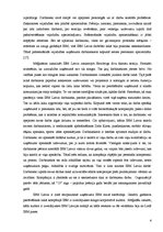 Konspekts 'IBM vadības struktūras specifika Latvijā', 6.