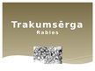 Prezentācija 'Trakumsērga', 1.