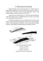 Konspekts 'Gaisa kuģu degvielas tvertnes, to tipi, konstrukcija un agregāti tvertnē', 6.