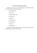 Konspekts 'Gaisa kuģu degvielas tvertnes, to tipi, konstrukcija un agregāti tvertnē', 11.