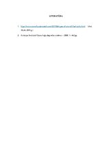 Konspekts 'Gaisa kuģu degvielas tvertnes, to tipi, konstrukcija un agregāti tvertnē', 12.