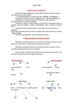 Konspekts 'Ekonomijas pamati', 1.