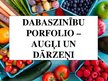 Prezentācija 'Dabaszinību porfolio - augļi un dārzeņi', 1.