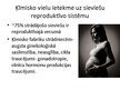 Prezentācija 'Darba vides kaitīgo faktoru ietekme uz reproduktīvo sistēmu', 4.
