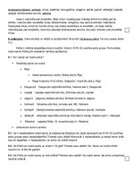 Konspekts 'Vielu transports', 2.