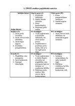 Konspekts 'SWOT analīze AS "Latvijas balzāms”', 2.