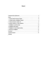 Referāts 'Smēķēšana un veselība', 2.