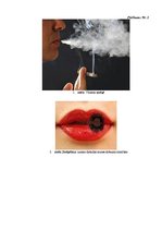 Referāts 'Smēķēšana un veselība', 33.