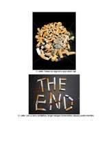 Referāts 'Smēķēšana un veselība', 38.