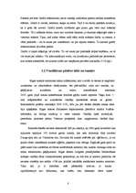 Referāts 'Grafiti - māksla vai vandālisms? ', 7.