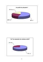 Referāts 'Grafiti - māksla vai vandālisms? ', 13.