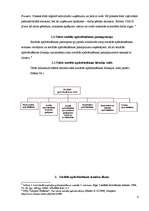 Referāts 'Valsts sociālās apdrošināšanas obligātās iemaksas', 6.