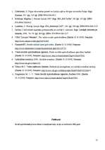 Referāts 'Valsts sociālās apdrošināšanas obligātās iemaksas', 13.