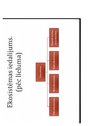 Prezentācija 'Sauszemes ekosistēma', 4.