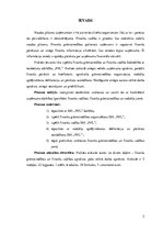 Prakses atskaite 'SIA "PHL" finanšu vadība un finanšu grāmatvedība', 2.