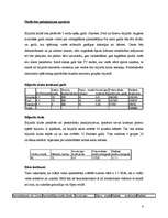 Biznesa plāns 'Biljarda klubs', 4.